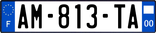 AM-813-TA