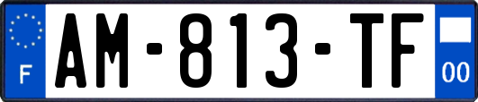 AM-813-TF