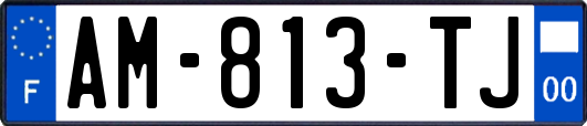 AM-813-TJ