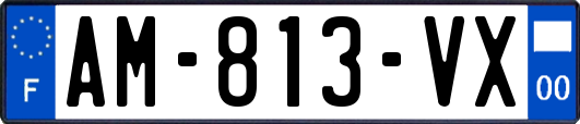 AM-813-VX