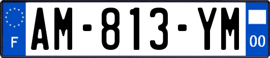 AM-813-YM