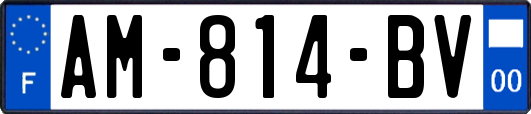 AM-814-BV