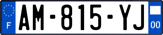 AM-815-YJ