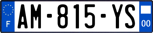 AM-815-YS