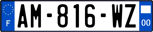 AM-816-WZ