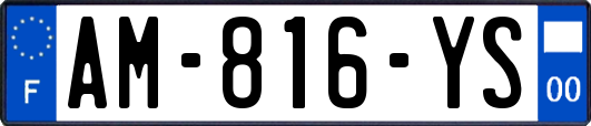 AM-816-YS