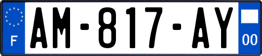 AM-817-AY