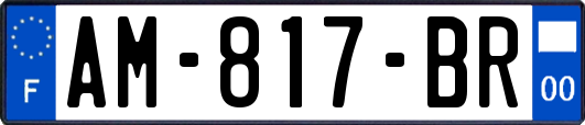 AM-817-BR