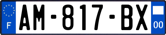 AM-817-BX
