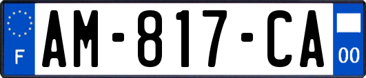 AM-817-CA