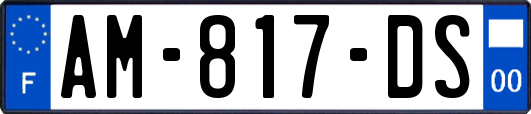 AM-817-DS