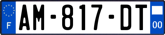 AM-817-DT
