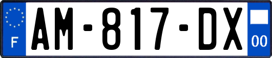 AM-817-DX