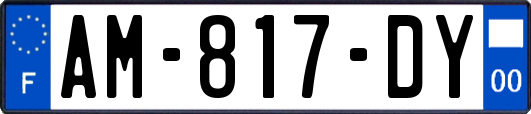 AM-817-DY