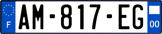 AM-817-EG