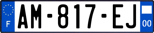 AM-817-EJ