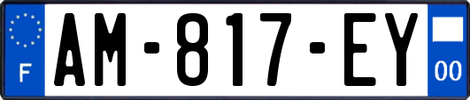 AM-817-EY