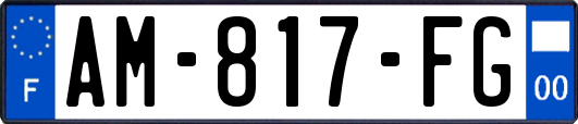AM-817-FG
