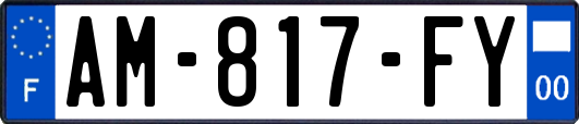 AM-817-FY