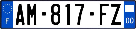 AM-817-FZ