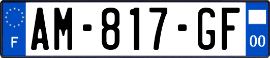AM-817-GF
