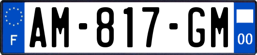 AM-817-GM