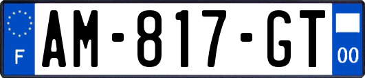 AM-817-GT