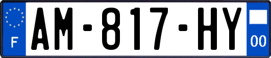 AM-817-HY