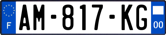 AM-817-KG