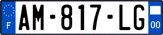 AM-817-LG