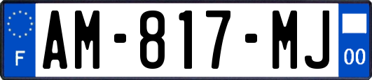 AM-817-MJ
