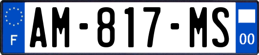 AM-817-MS