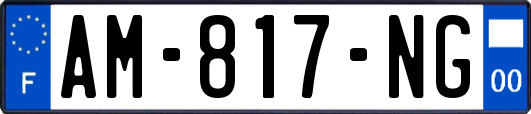 AM-817-NG