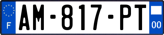 AM-817-PT