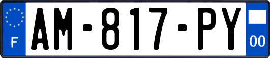 AM-817-PY