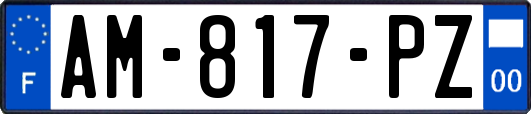 AM-817-PZ