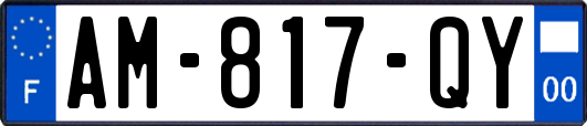 AM-817-QY