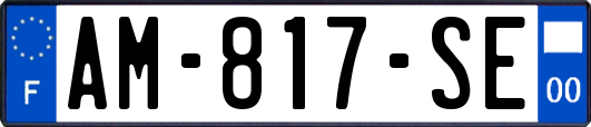 AM-817-SE