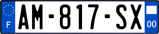 AM-817-SX
