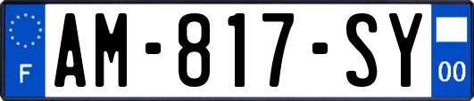 AM-817-SY