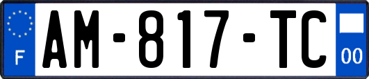 AM-817-TC