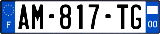 AM-817-TG