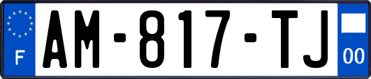 AM-817-TJ