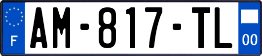 AM-817-TL