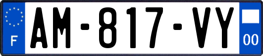 AM-817-VY