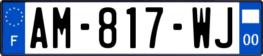 AM-817-WJ