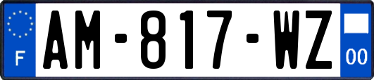AM-817-WZ