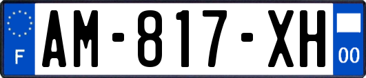 AM-817-XH