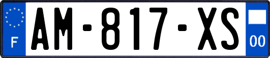 AM-817-XS