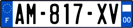 AM-817-XV